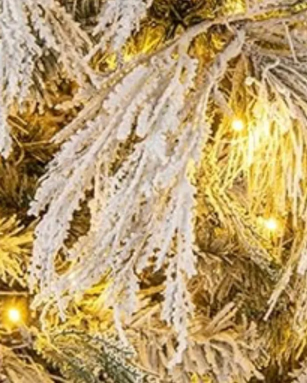 Luxury Christmas Tree - Prelit Frosted Norfolk Pine