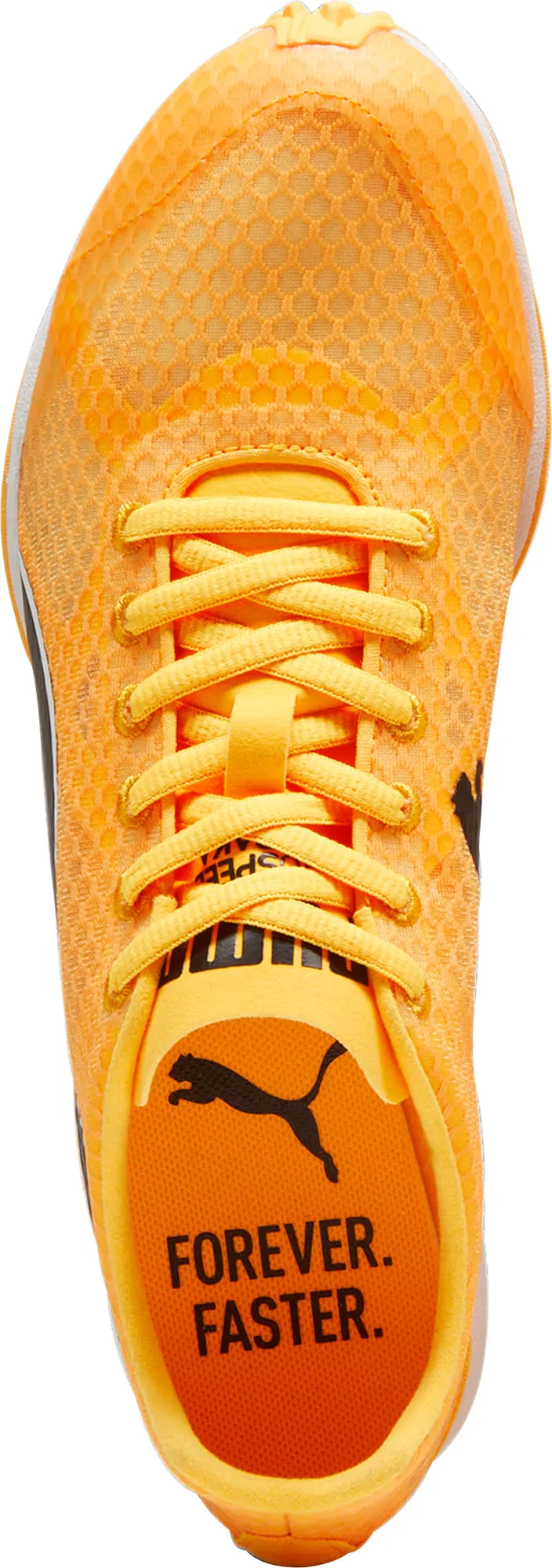 Puma evoSpeed Haraka 8 Cross Country Spikes - Orange