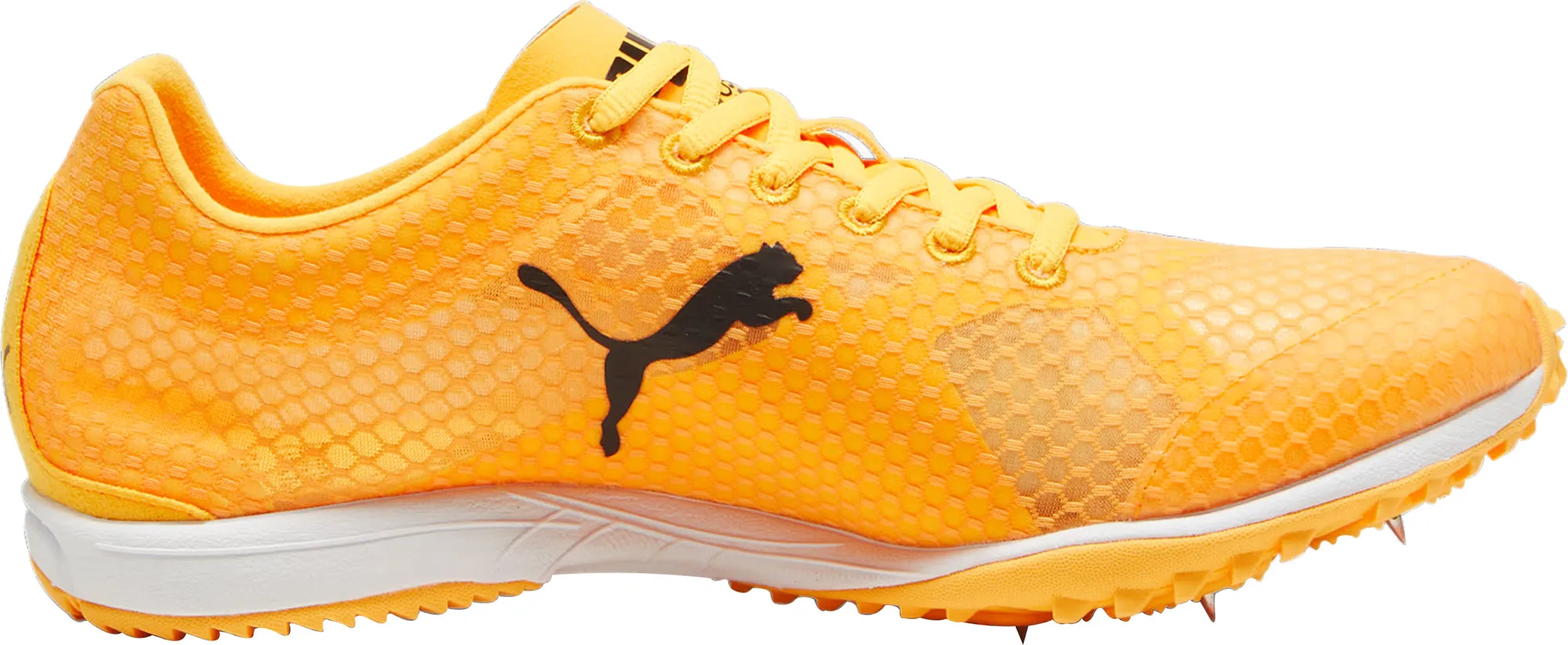 Puma evoSpeed Haraka 8 Cross Country Spikes - Orange