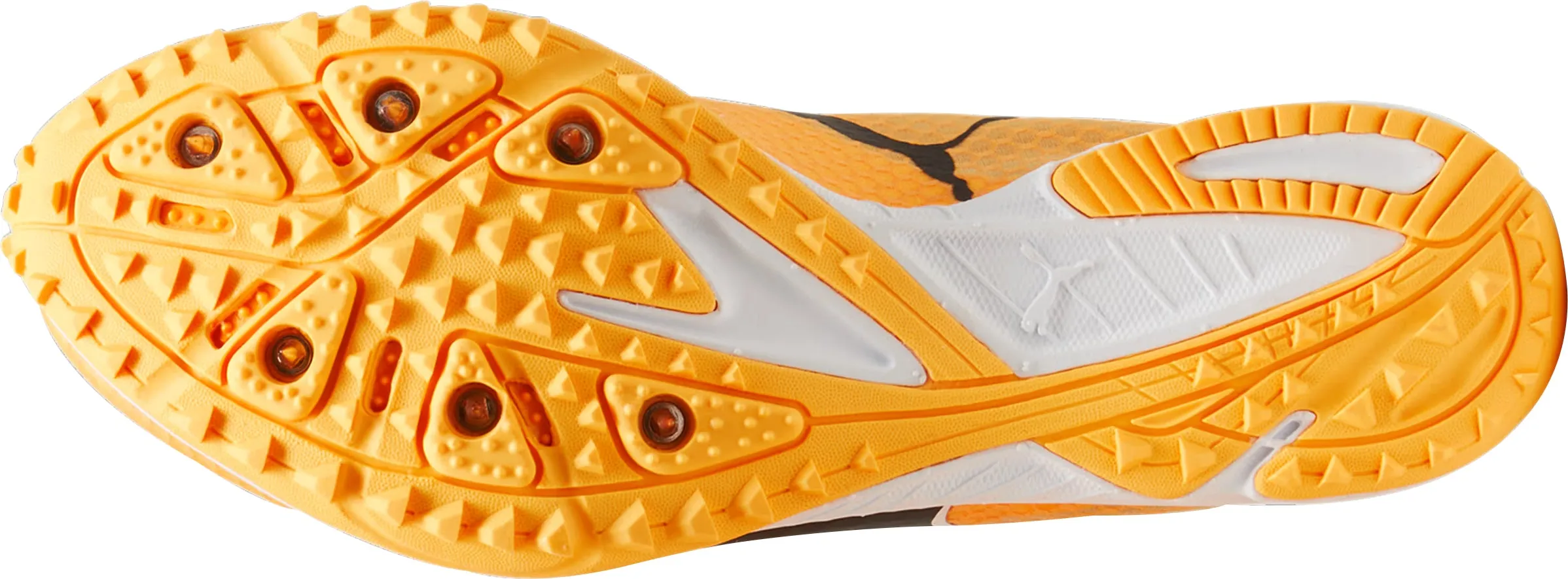 Puma evoSpeed Haraka 8 Cross Country Spikes - Orange